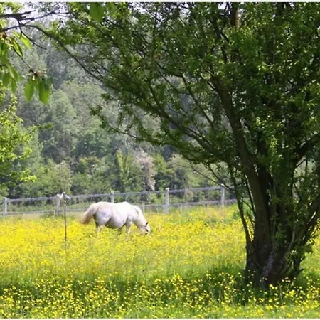 Les Songes De L'authie