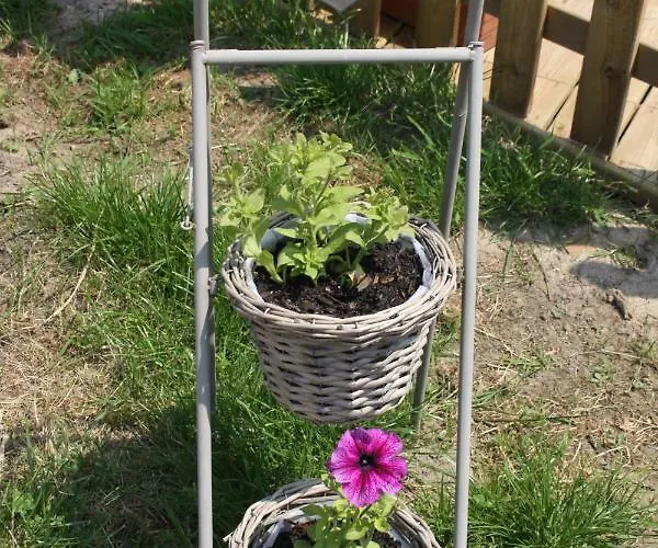 Panzió Les Songes De L'authie Boufflers