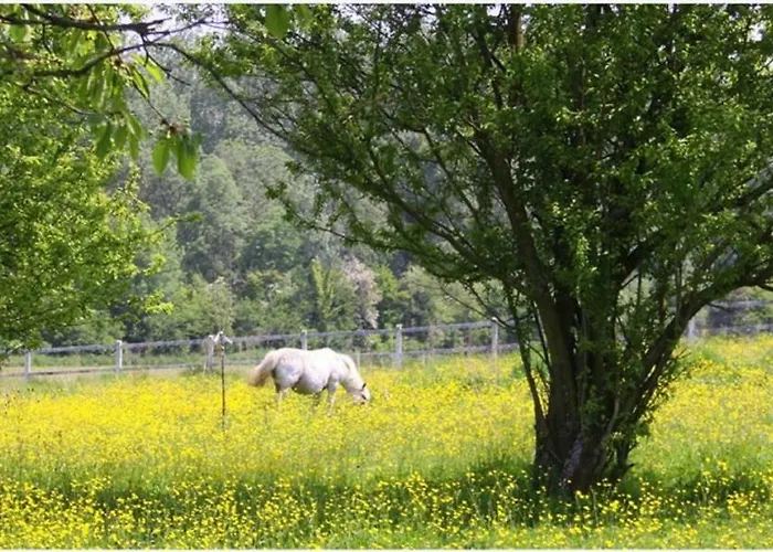 Les Songes De L'authie